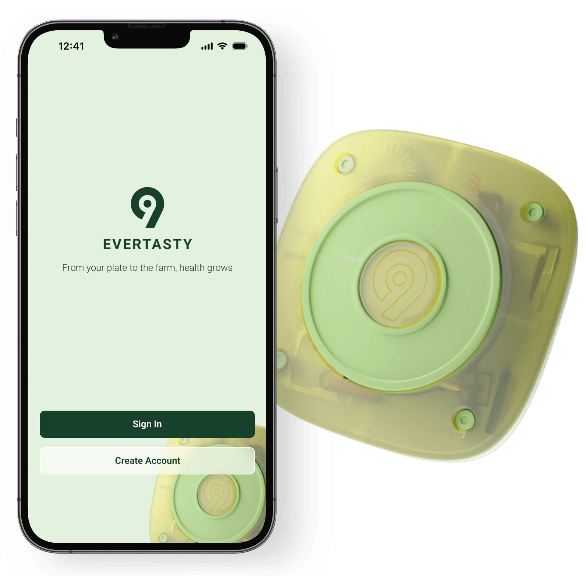 Evertasty research and design artifact